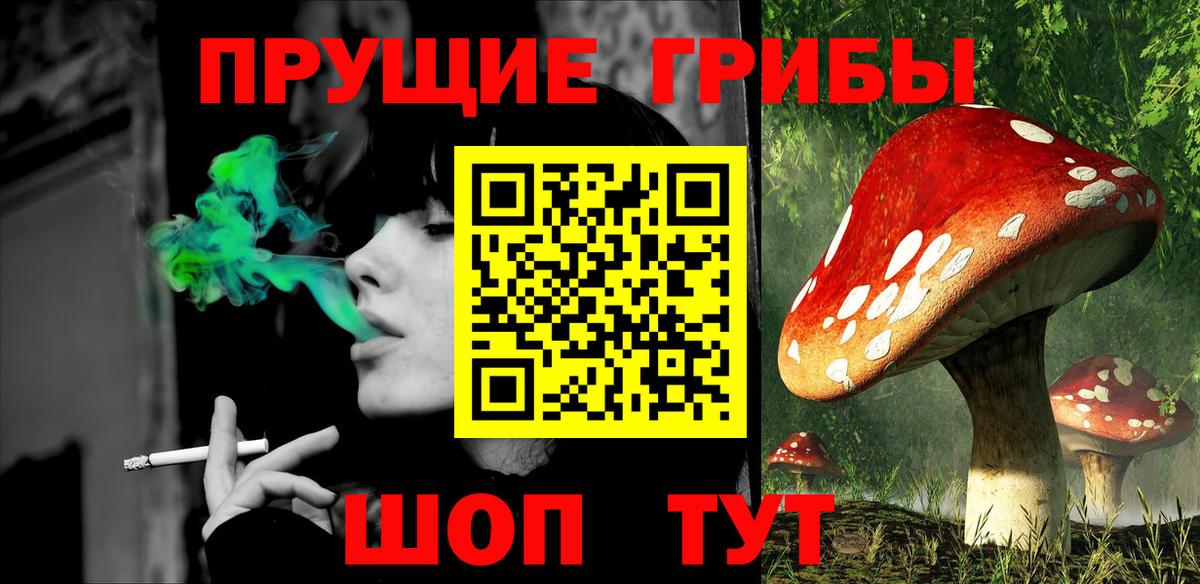 Галлюциногенные грибы прущие грибы Губкинский
