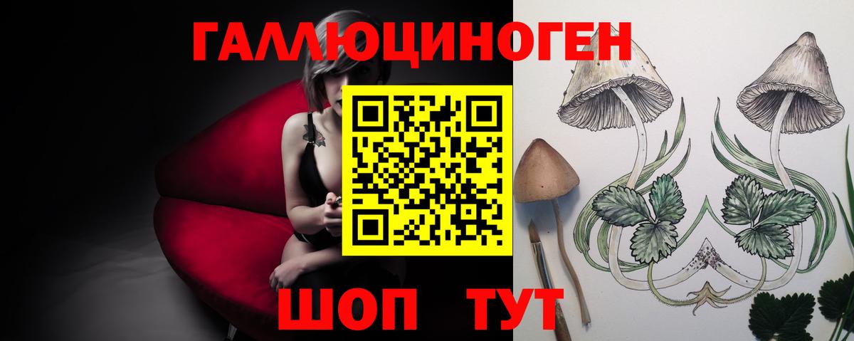 Псилоцибиновые грибы Psilocybine cubensis  Галлюциногенные грибы Magic Shrooms  как найти закладки  Губкинский  Вход с VPN 
